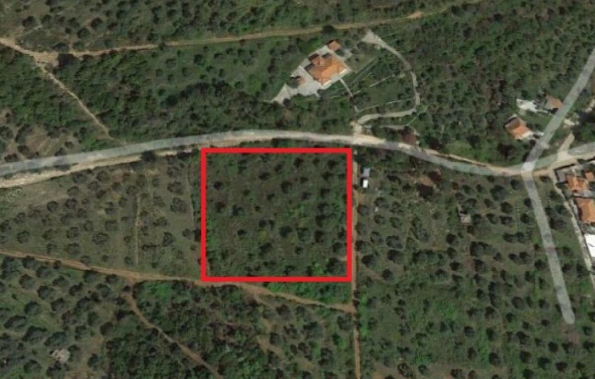For Sale Land 5770 m² on the island of Thassos
