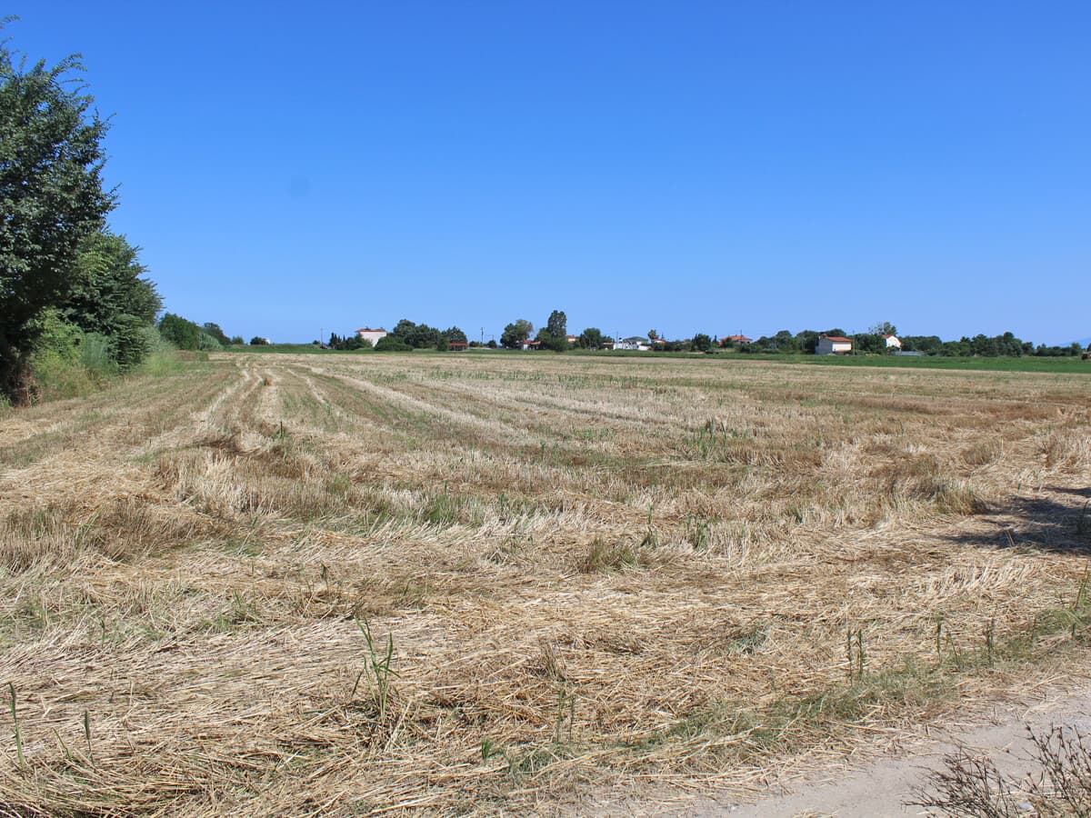 For Sale Land 10000 m² on the Olympic Coast