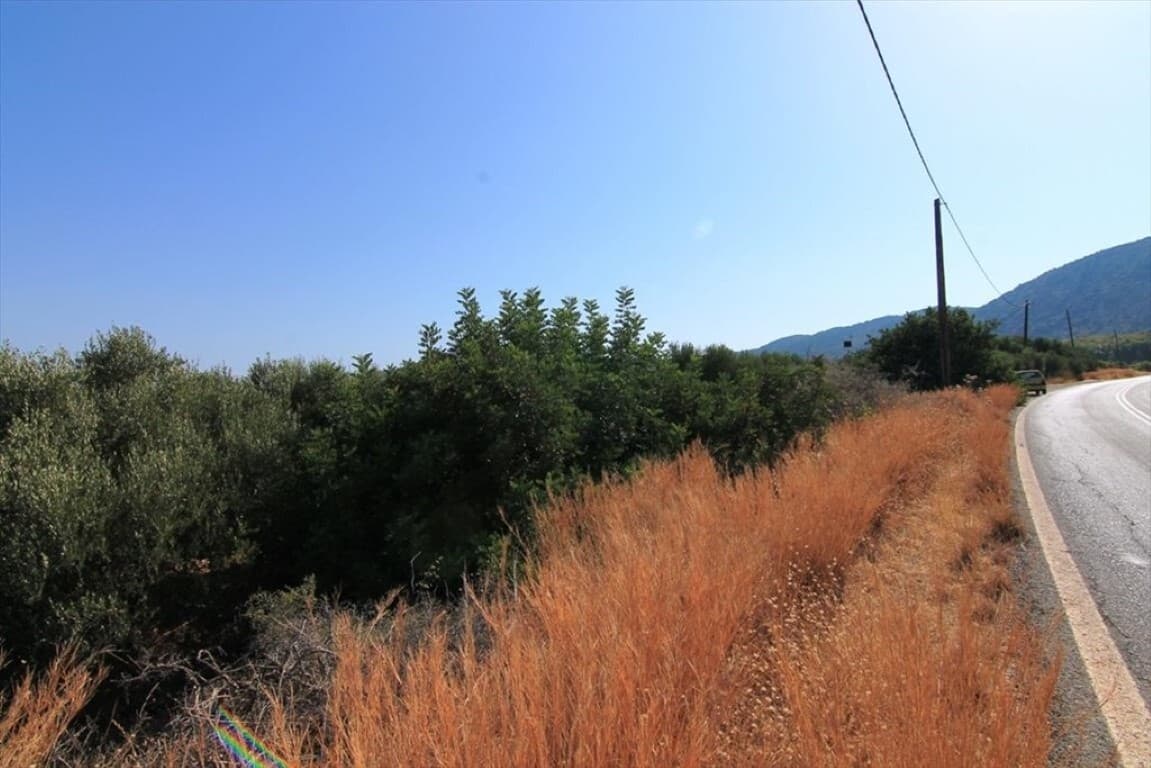 For Sale Land 2000 m² in Crete
