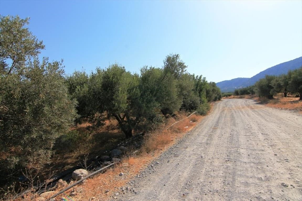 For Sale Land 5000 m² in Crete