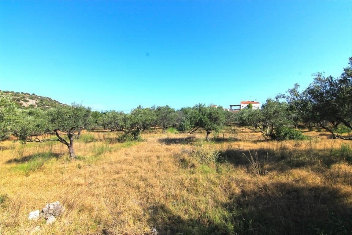 For Sale Land 5500 m² in Crete