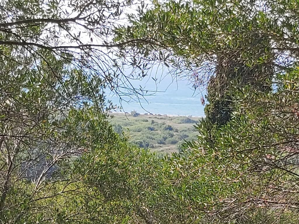 For Sale Land 4500 m² in Corfu