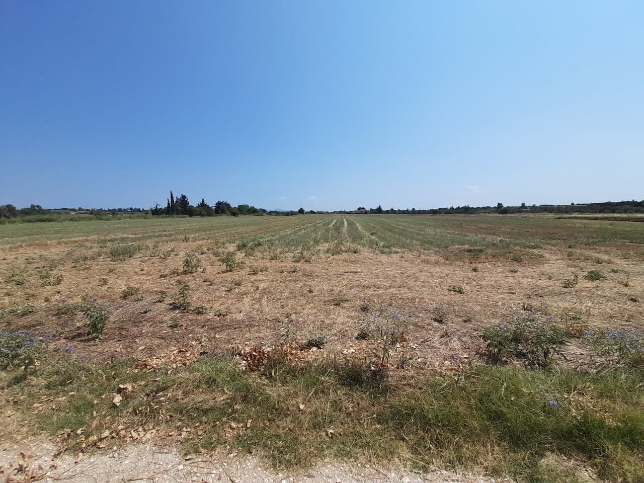 For Sale Land 11100 m² in the suburbs of Thessaloniki