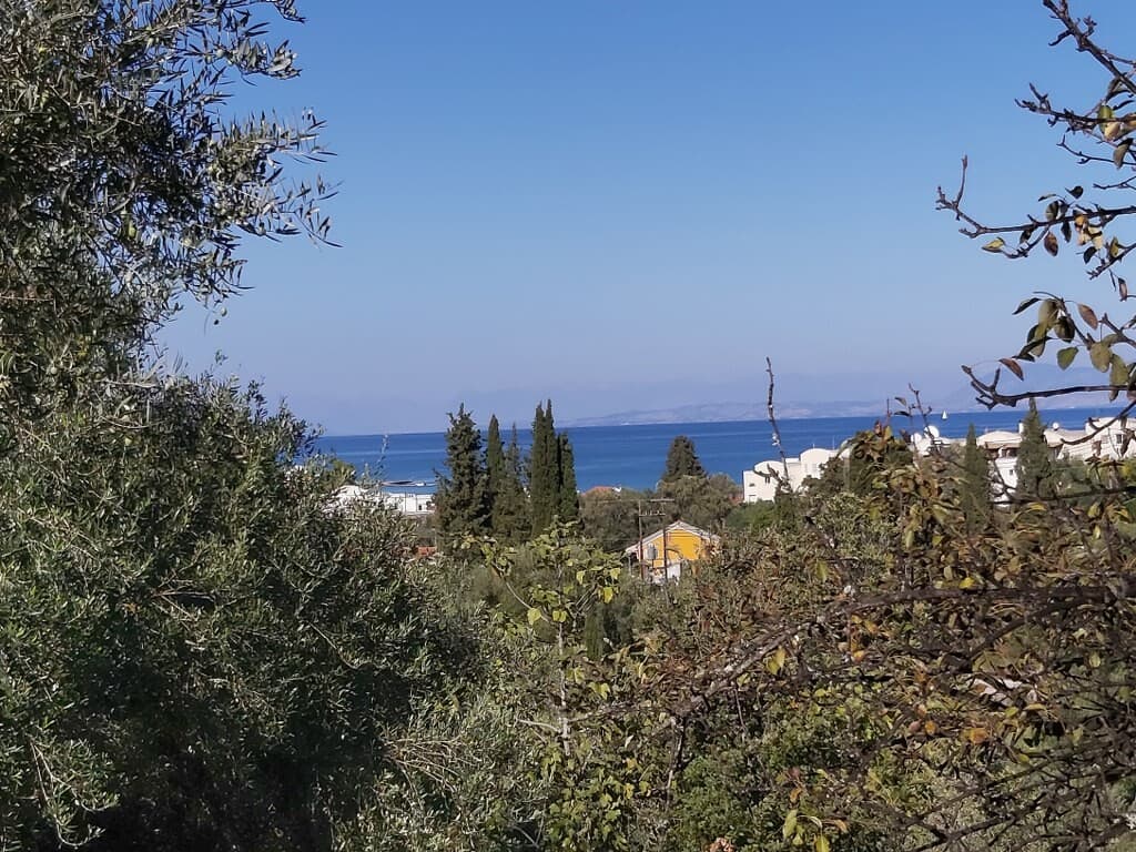 For Sale Land 6500 m² in Corfu