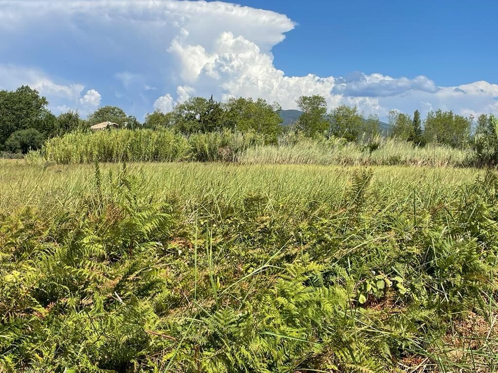 For Sale Land 4236 m² in Corfu