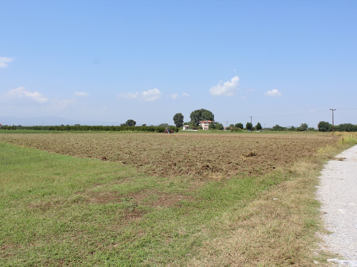 For Sale Land 13250 m² on the Olympic Coast