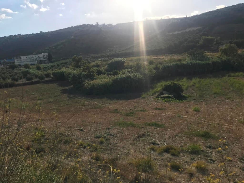 For Sale Land 7800 m² in Crete