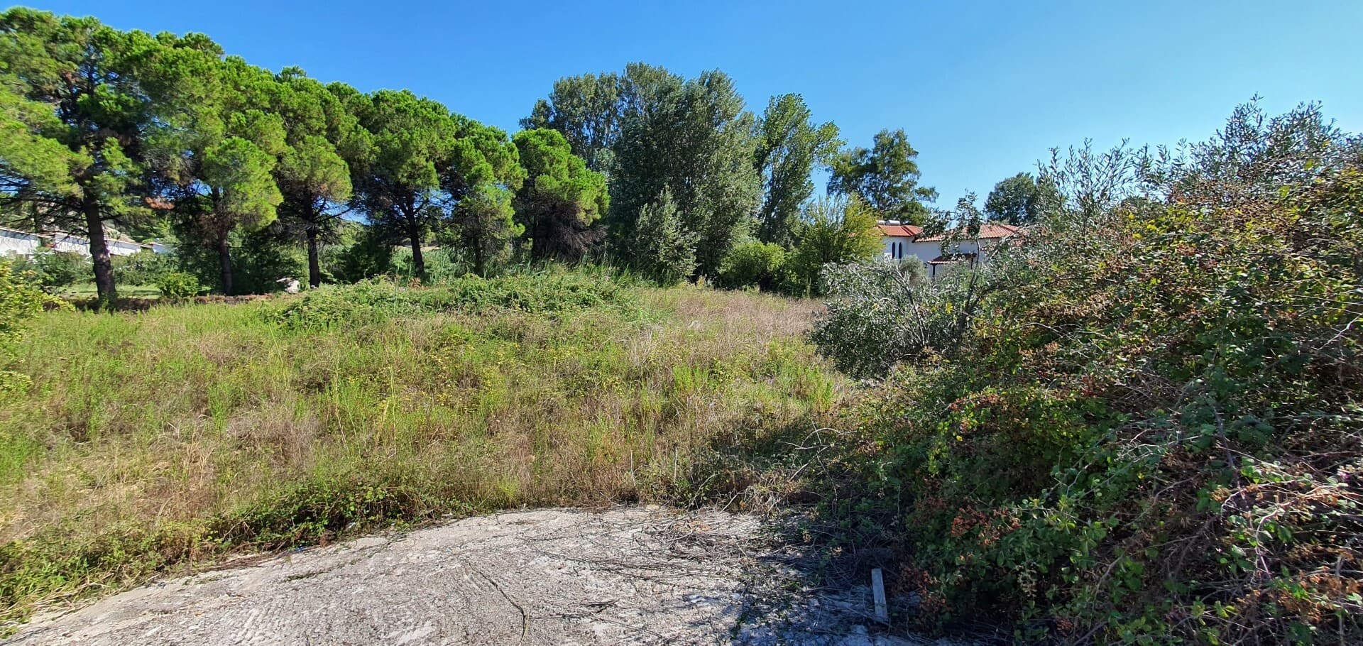 For Sale Land 2000 m² in Sithonia, Chalkidiki