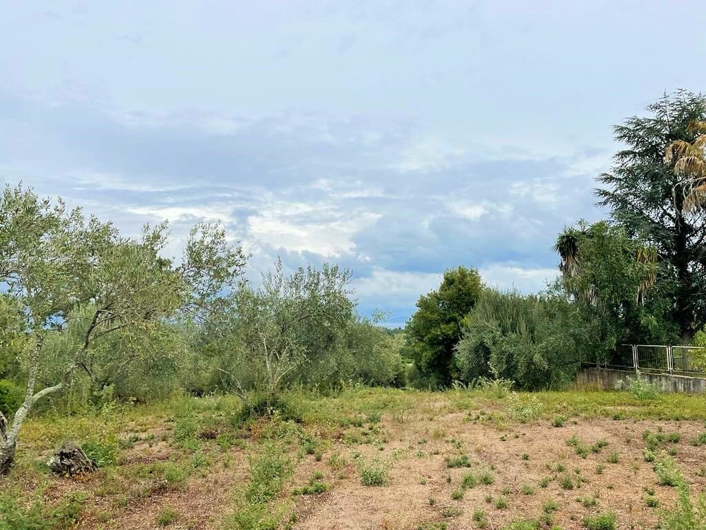 For Sale Land 4470 m² in Corfu