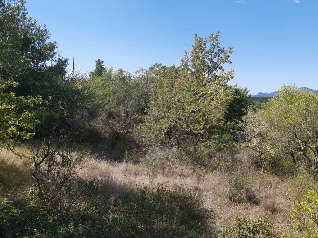 For Sale Land 58000 m² in Corfu