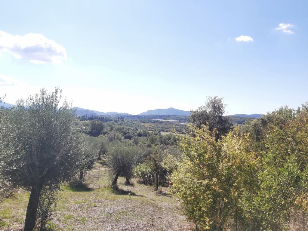 For Sale Land 48000 m² in Corfu
