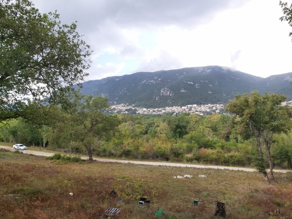 For Sale Land 6000 m² in Corfu