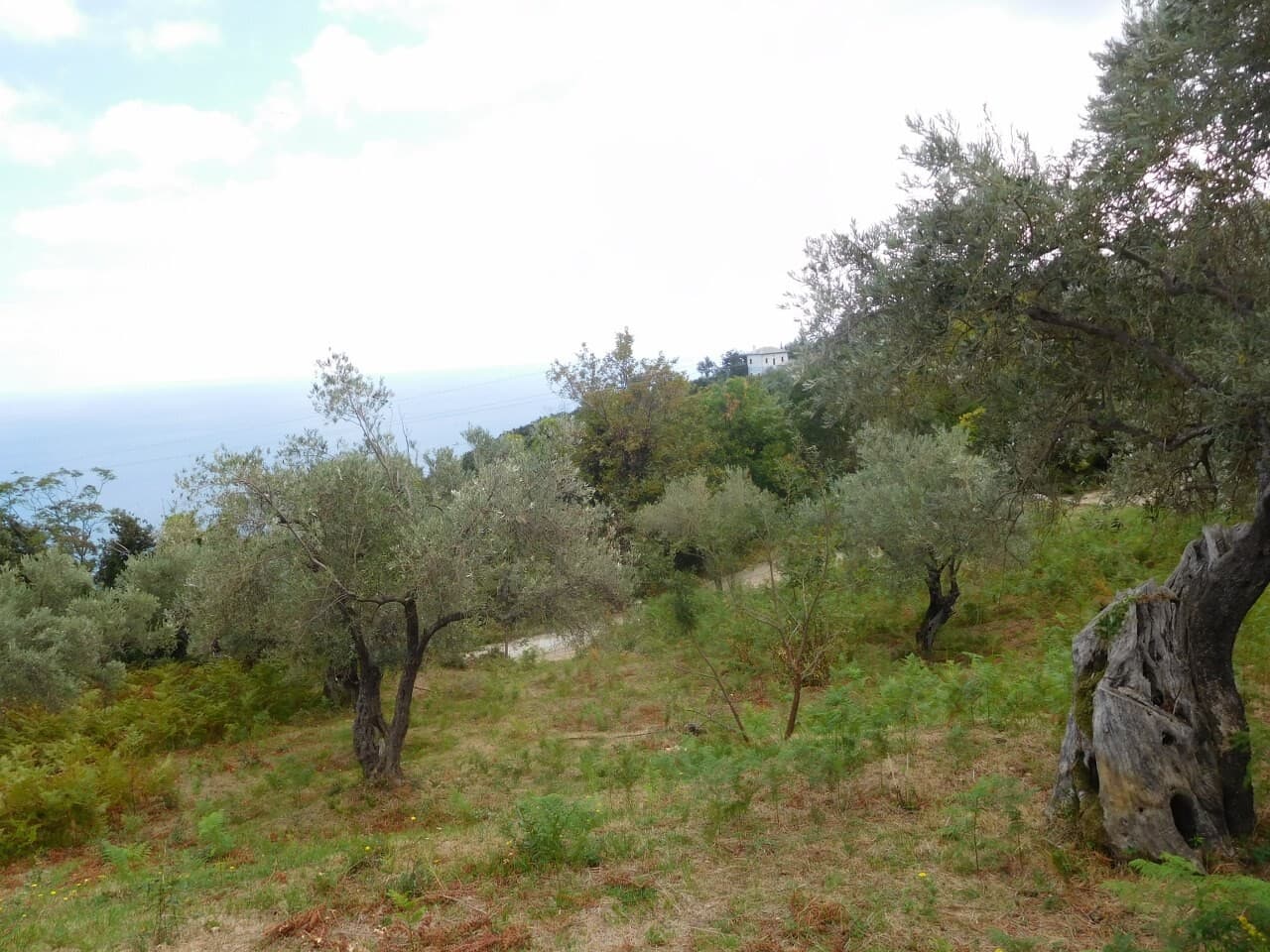 For Sale Land 4020 m² in Volos-Pilio