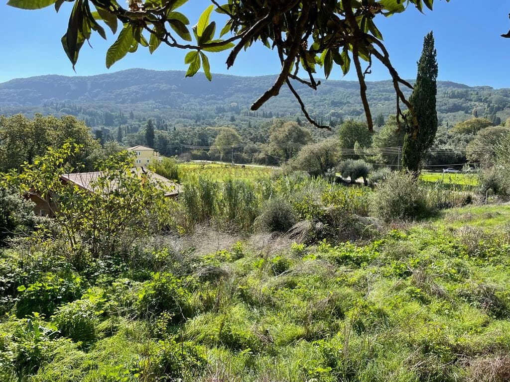 For Sale Land 5500 m² in Corfu