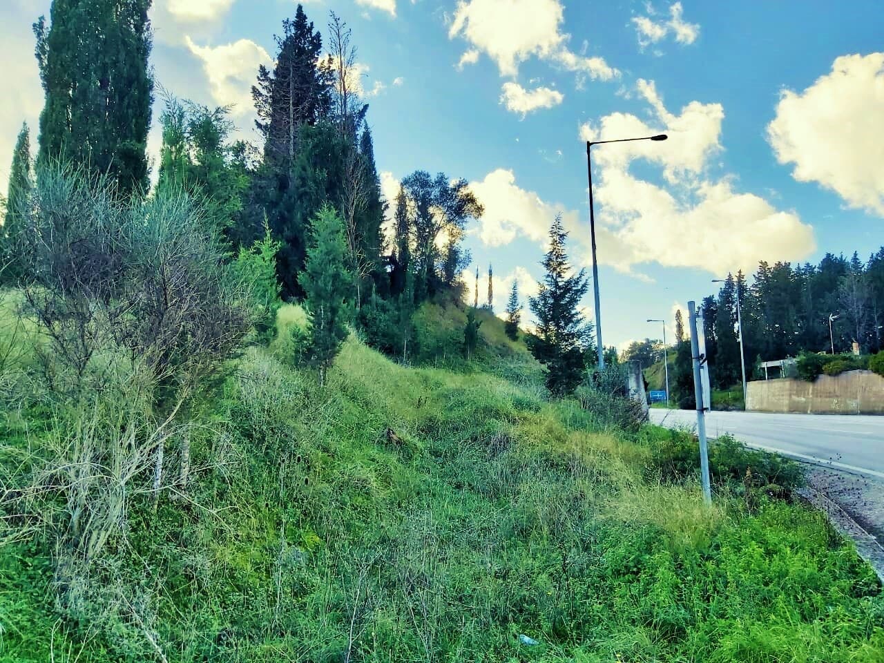 For Sale Land 5500 m² in Corfu