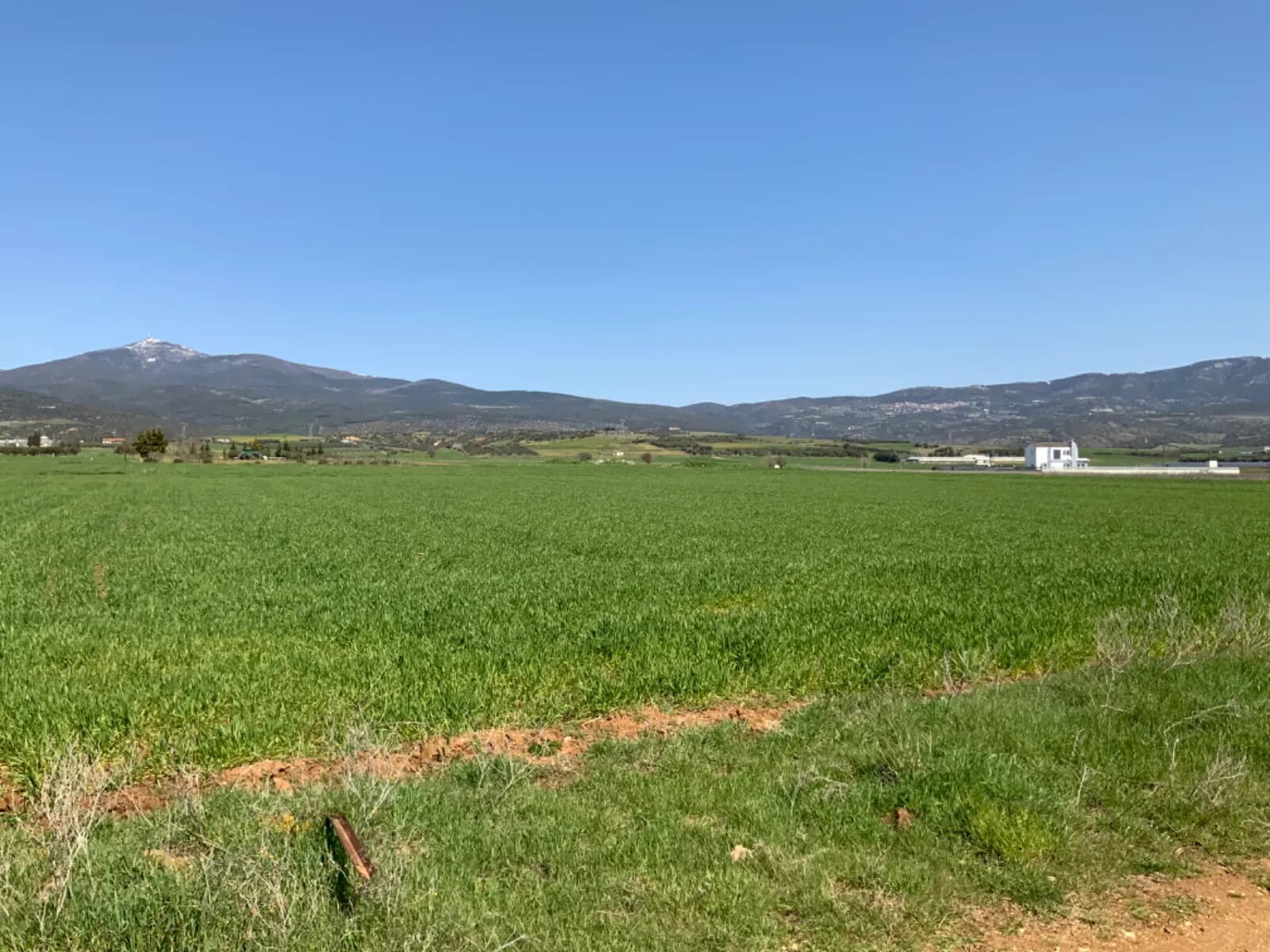 For Sale Land 8200 m² in the suburbs of Thessaloniki