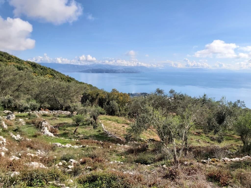 For Sale Land 9500 m² in Corfu