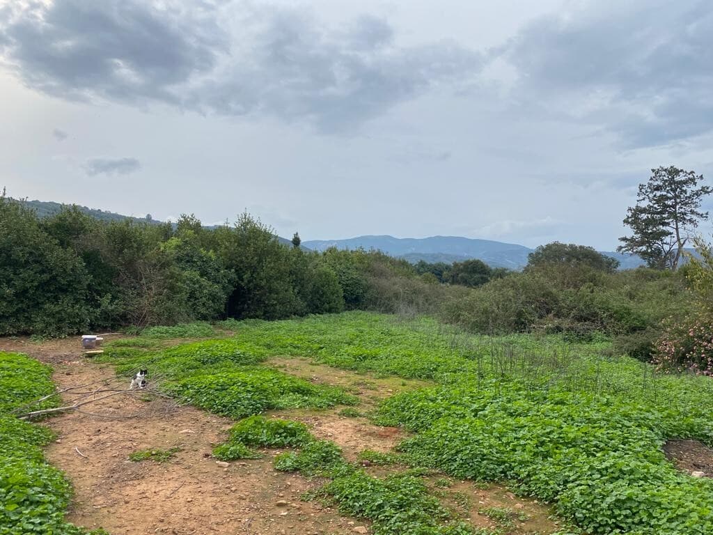 For Sale Land 1525 m² in Crete