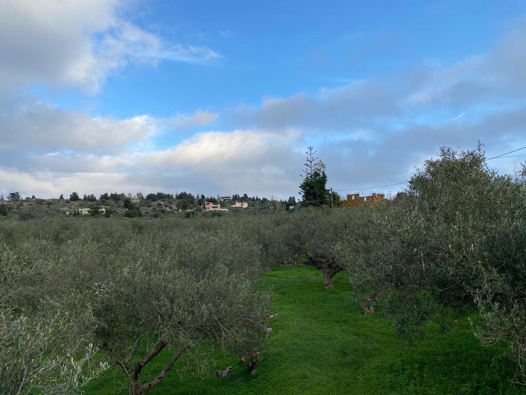 For Sale Land 4017 m² in Crete