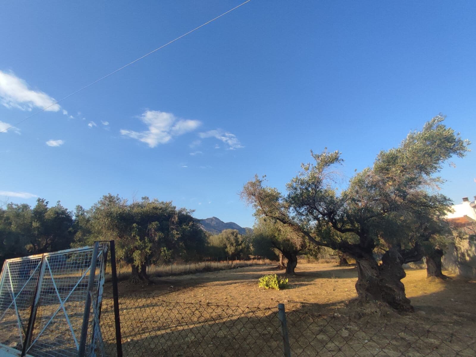 For Sale Land 932 m² in Athens