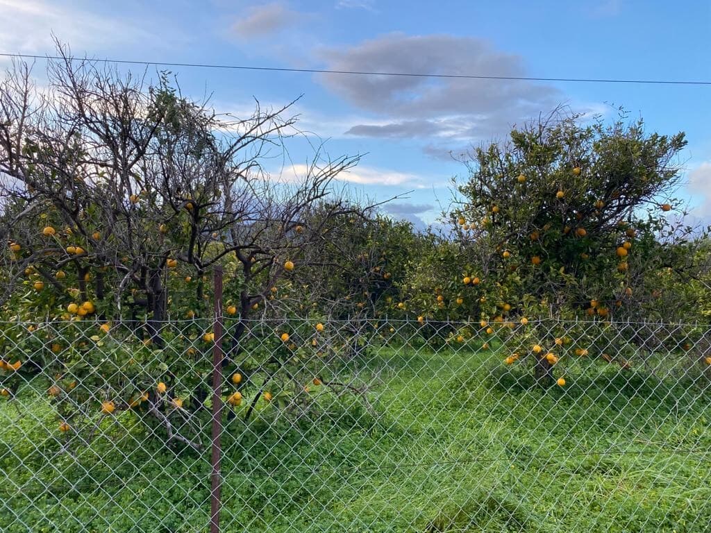 For Sale Land 5321 m² in Crete