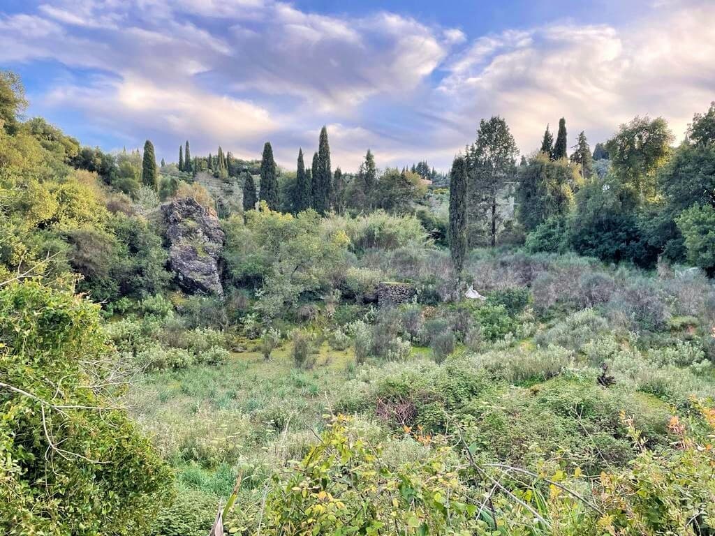 For Sale Land 6145 m² in Corfu