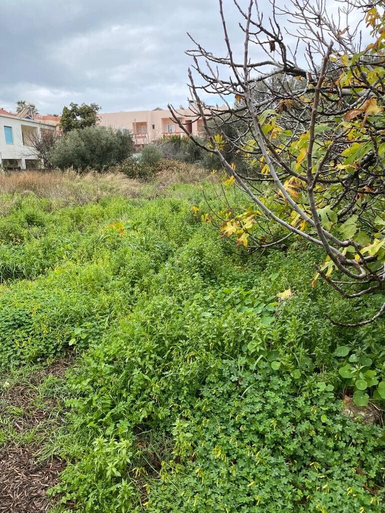 For Sale Land 1372 m² in Crete