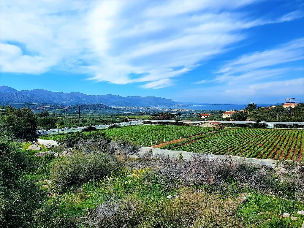 For Sale Land 10000 m² in Crete