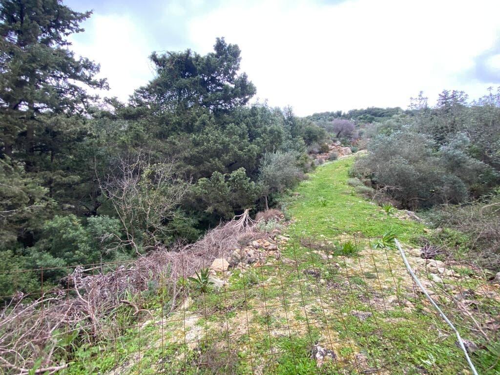 For Sale Land 4010 m² in Crete