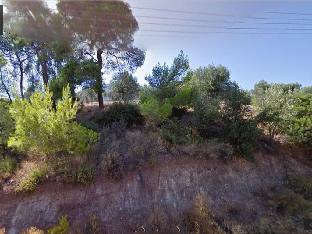 For Sale Land 4000 m² in Loutraki