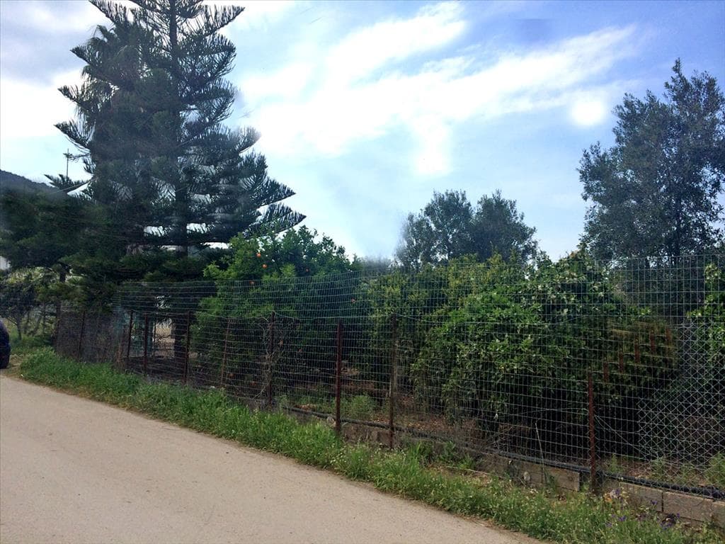 For Sale Land 1614 m² in Eastern Peloponnese