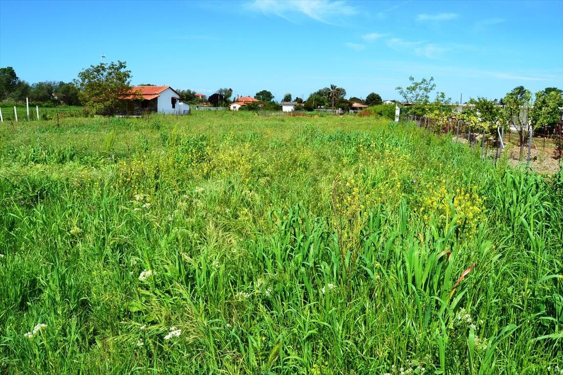 For Sale Land 1200 m² in Kassandra, Chalkidiki