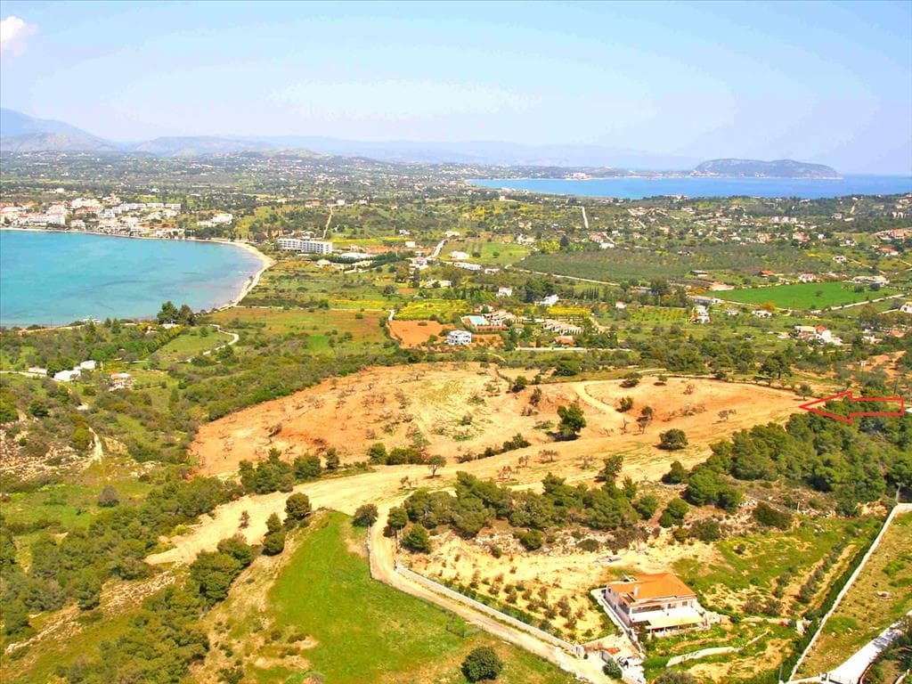 For Sale Land 40000 m² in Eastern Peloponnese - Ermionida