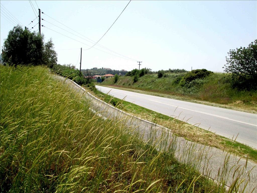 For Sale Land 3100 m² in Sithonia, Chalkidiki