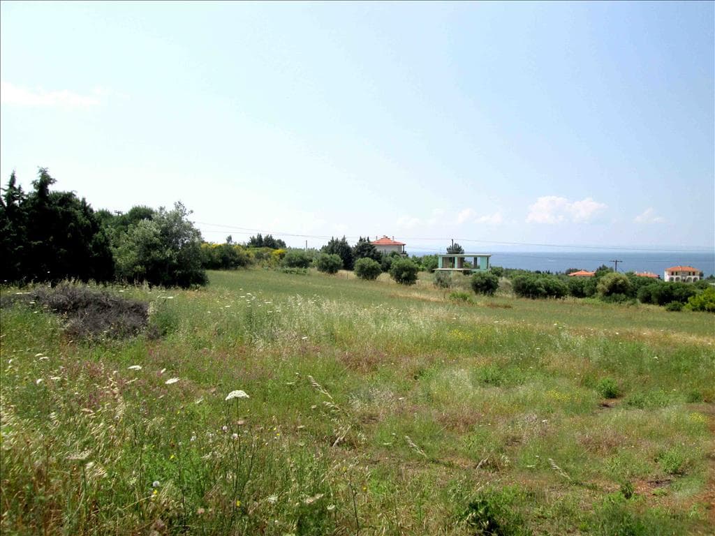For Sale Land 6534 m² in Sithonia, Chalkidiki
