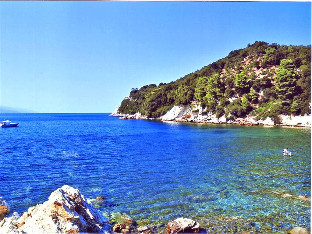 For Sale Land 30000 m² in the Sporades