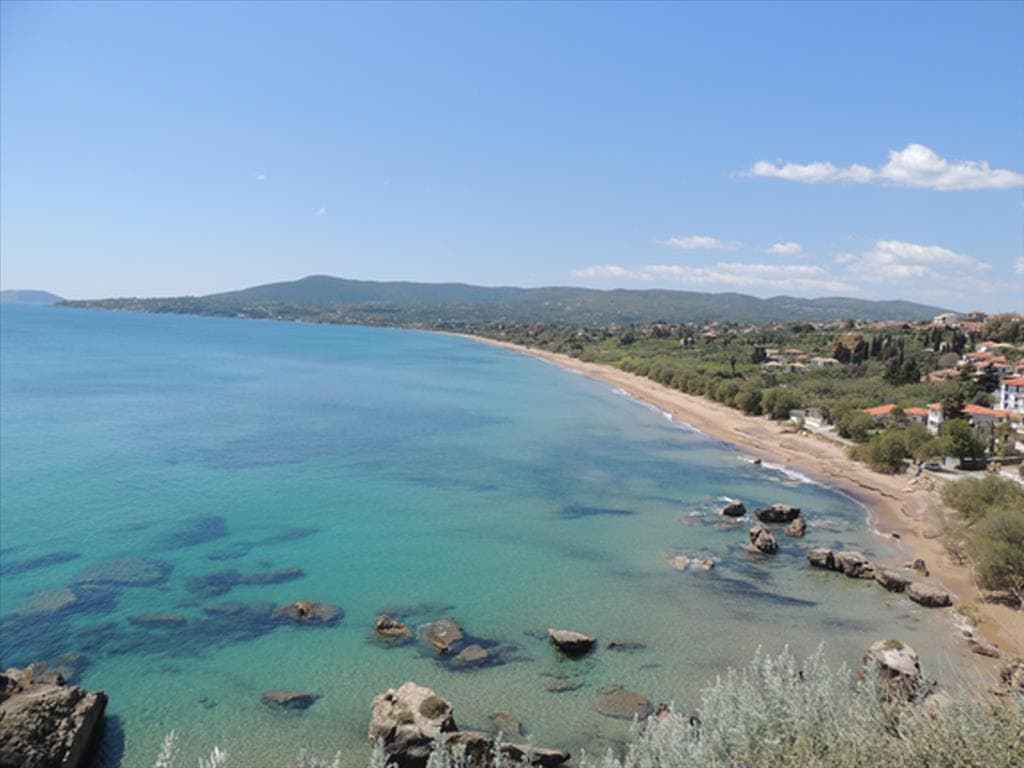 For Sale Land 5500 m² in Western Peloponnese