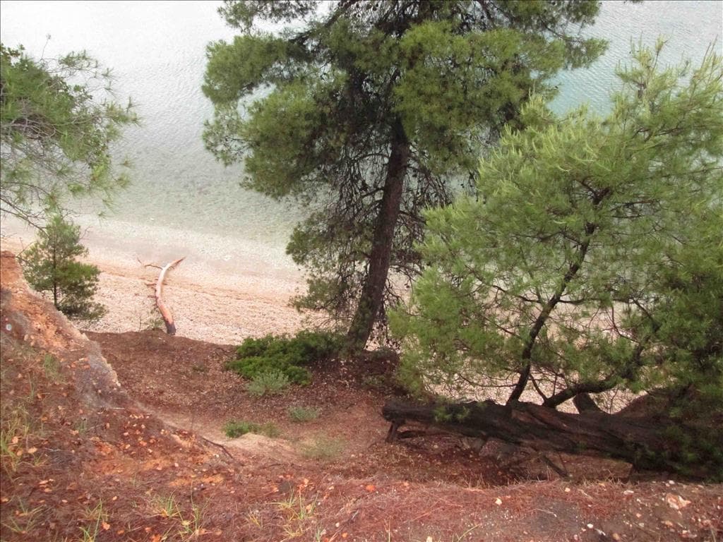For Sale Land 54096 m² in Sithonia, Chalkidiki