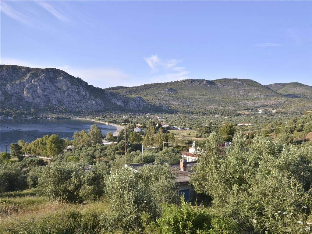 For Sale Land 6464 m² in Loutraki
