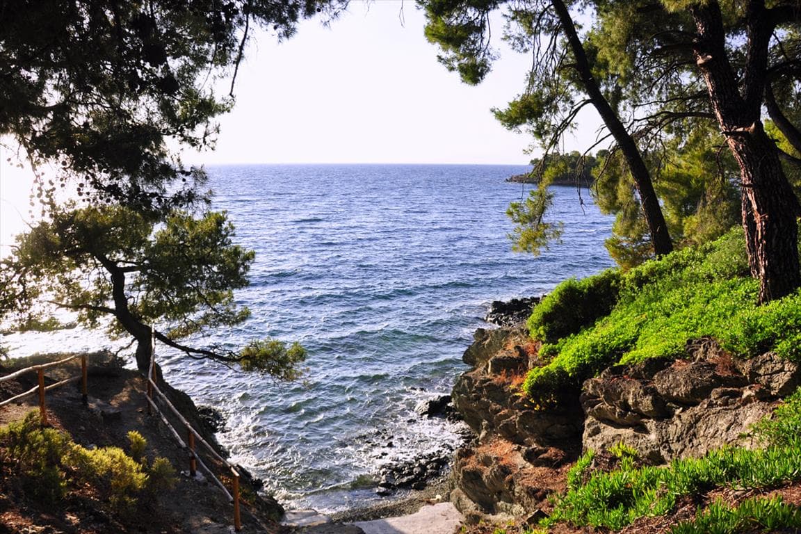 For Sale Land 3800 m² in Sithonia, Chalkidiki