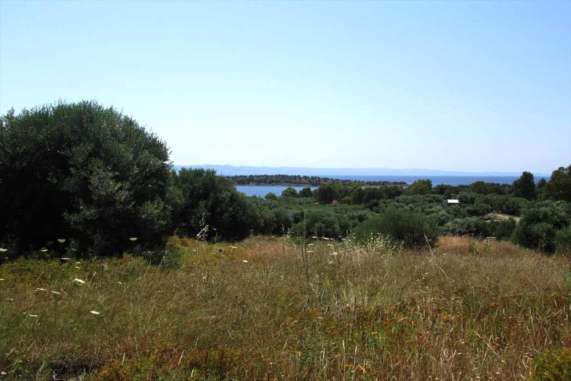 For Sale Land 7125 m² in Sithonia, Chalkidiki
