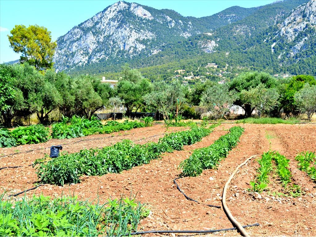 For Sale Land 3941 m² in Loutraki