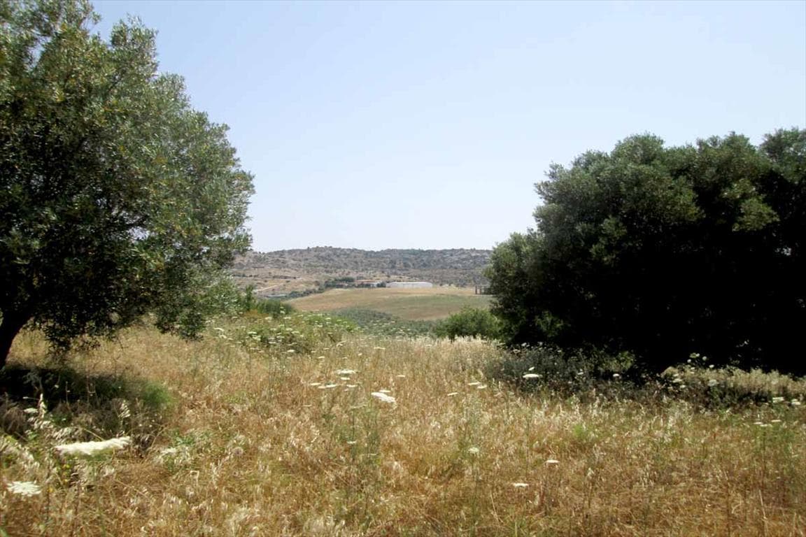 For Sale Land 4123 m² in Sithonia, Chalkidiki