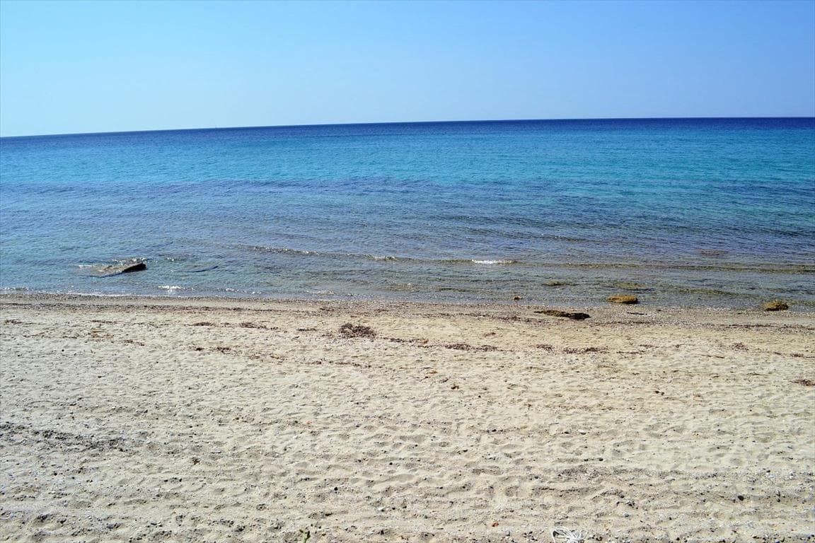 For Sale Land 12500 m² in Kassandra, Chalkidiki