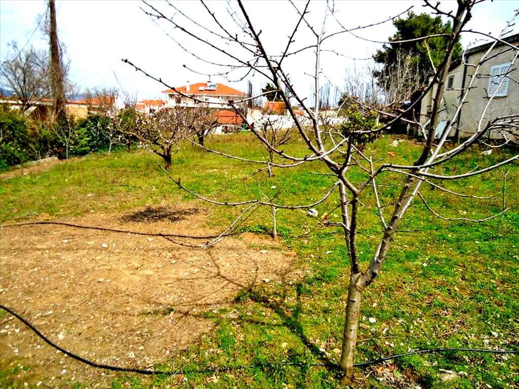 For Sale Land 1800 m² in Attica