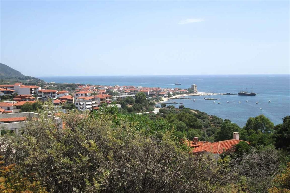 For Sale Land 10500 m² in Athos, Chalkidiki