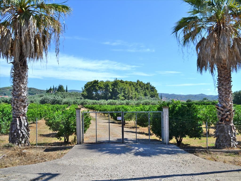 For Sale Land 14000 m² in Western Peloponnese