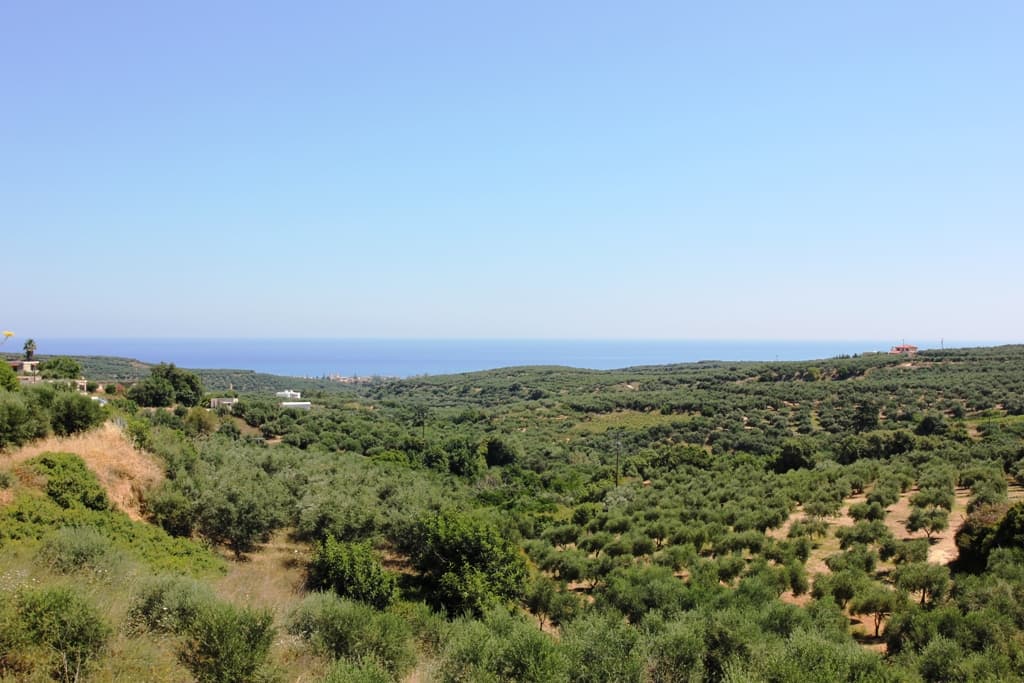For Sale Land 3500 m² in Crete
