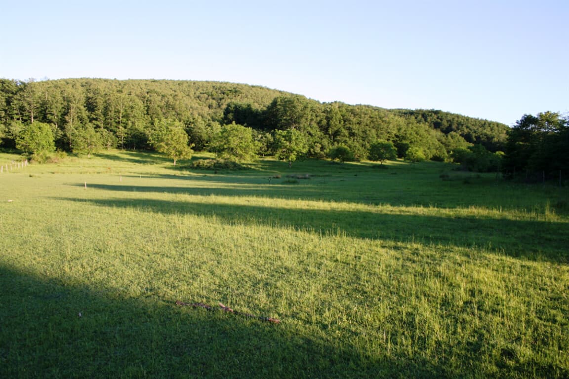 For Sale Land 32000 m² in Chalkidiki