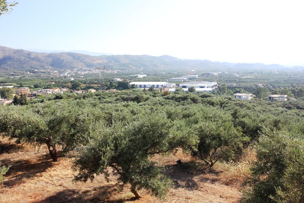 For Sale Land 8100 m² in Crete